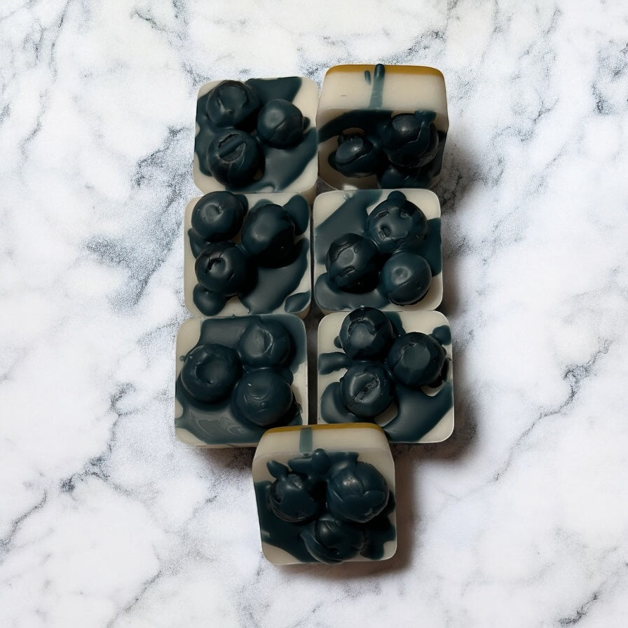 Blueberry Cheesecake Bites
